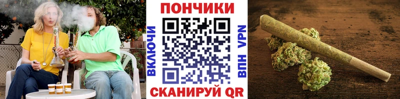 Купить закладку Цивильск ГАШ Alpha-PVP COCAIN Мефедрон Каннабис