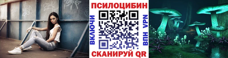 Галлюциногенные грибы Psilocybe где купить наркоту Цивильск