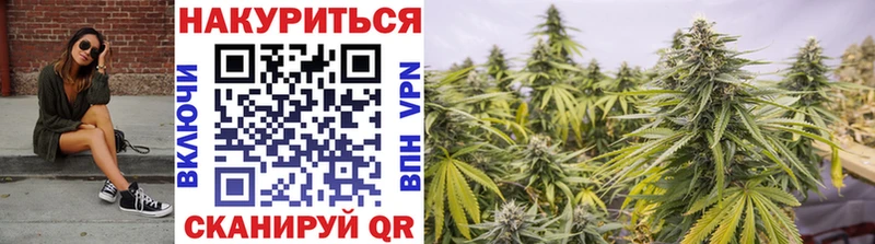 Бошки Шишки Amnesia Цивильск